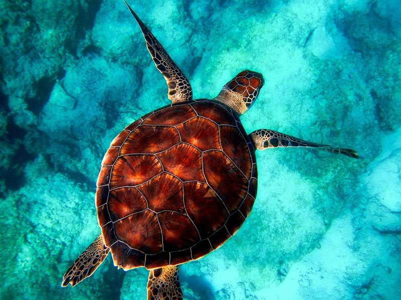 Photo Entdecken Sie die Wunder Thailands