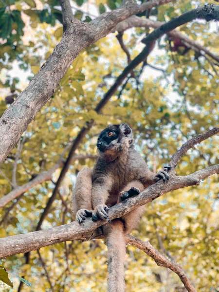 Photo Katamaran-Kreuzfahrt in Madagaskar