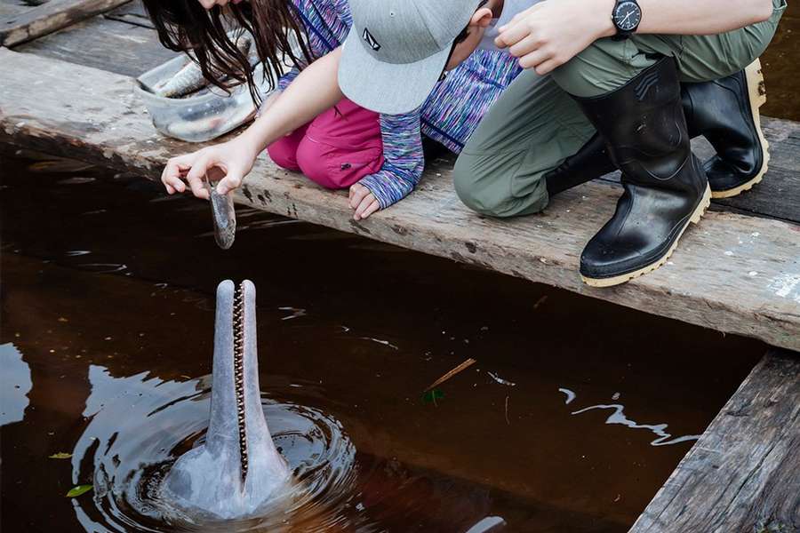 Photo Der Amazonas an Bord der Manatee