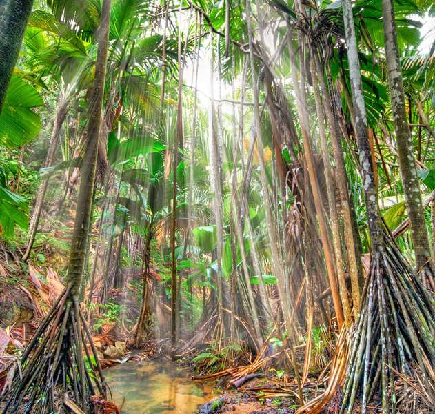 Photo Crociera cabina alle Seychelles in goletta