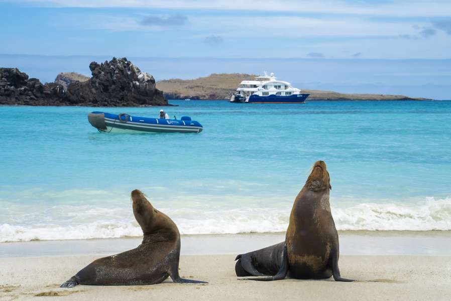 Photo Explora la naturaleza salvaje de las Galápagos en catamarán a motor