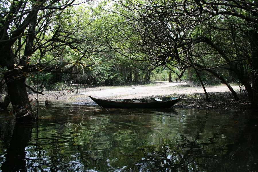 Photo Croisière en Amazonie