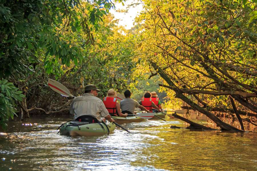 Photo Der Amazonas an Bord der Manatee