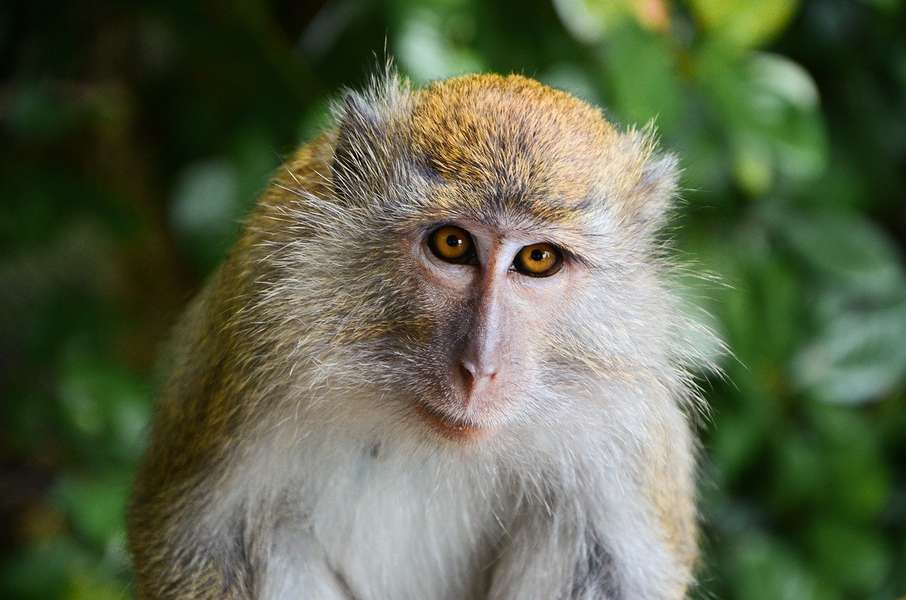 Photo Entdecken Sie die Wunder Thailands