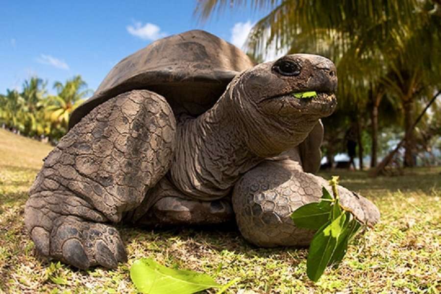 Photo Die Schönheit der Seychellen auf dem Katamaran erleben