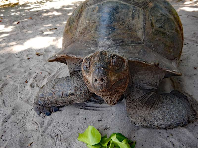 Photo Fünf traumhafte Tage auf den Seychellen mit dem Katamaran