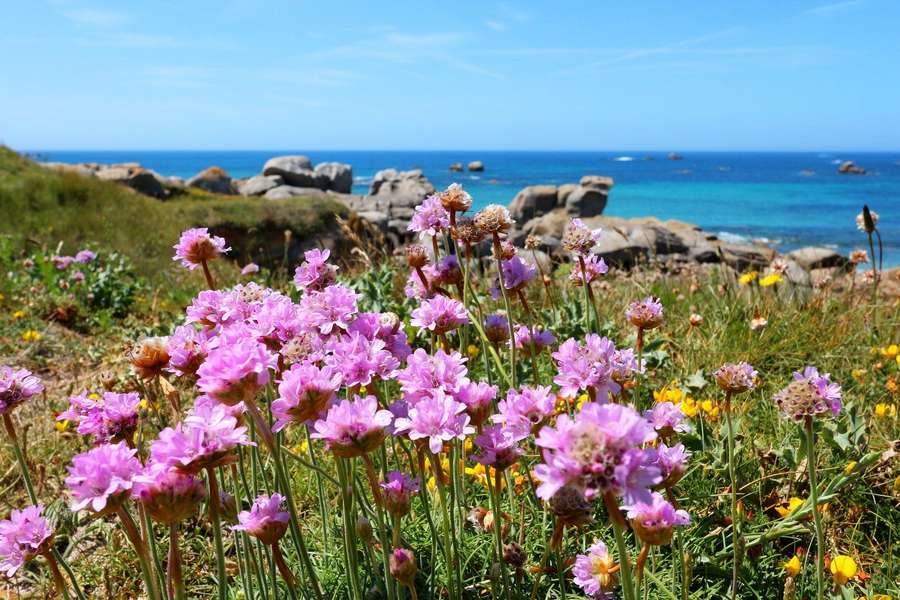 Photo Stage Croisière en Bretagne Sud