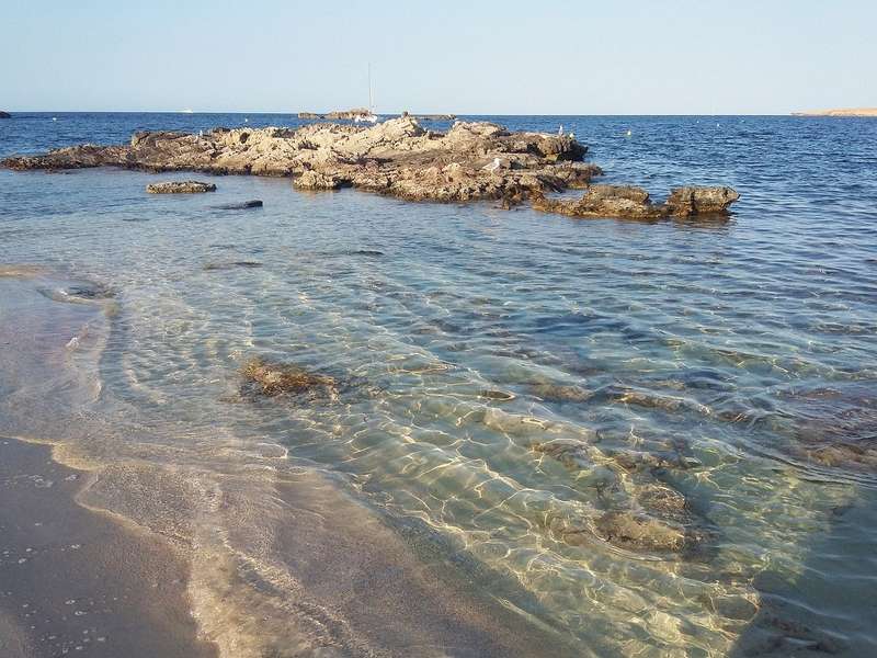 Photo Descubre Ibiza en un crucero en catamarán