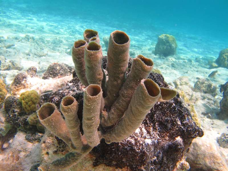 Photo Explora el Archipiélago de San Blas y disfruta de un día en la Ciudad de Panamá