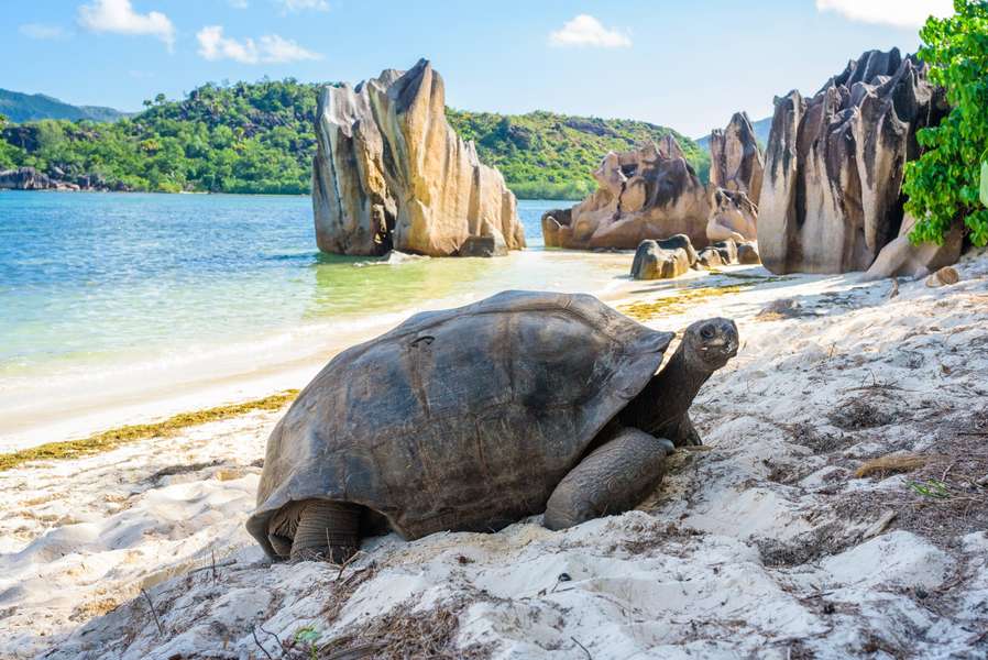 Photo Seszele | Lagoon 620 | Rejs katamaranem z Mahé do La Digue i Praslin