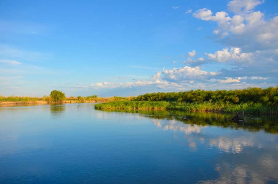 Photo L'Afrique Australe en croisière-safari