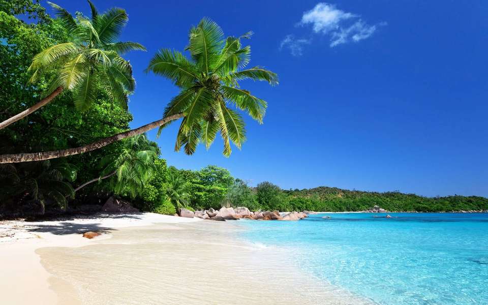 Photo Ihr Kabinencharter auf den Seychellen auf einem Katamaran