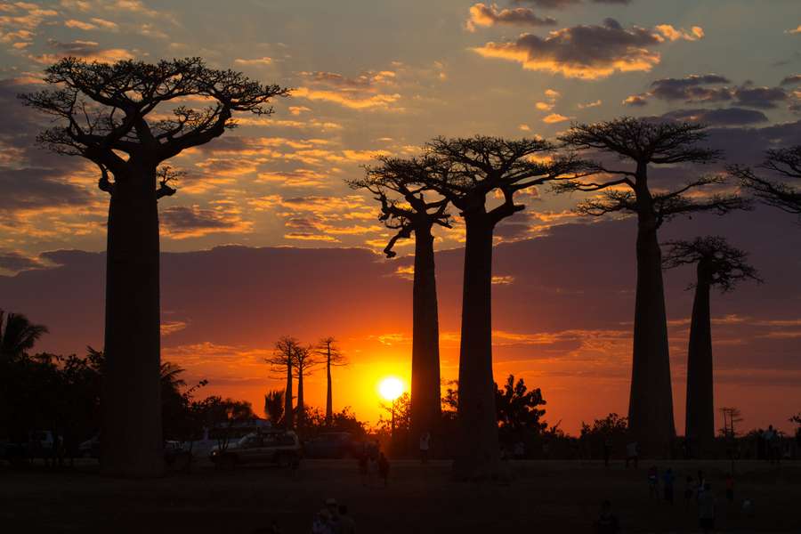 Photo Esplora il Madagascar in un viaggio su misura