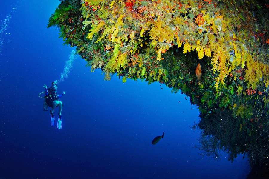 Photo Croisière plongée aux Maldives