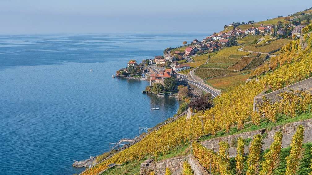 Photo Croisière en catamaran sur le lac Léman