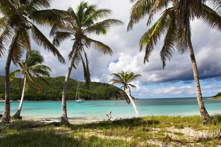Photo Croisière dans les Grenadines & hôtel en Martinique