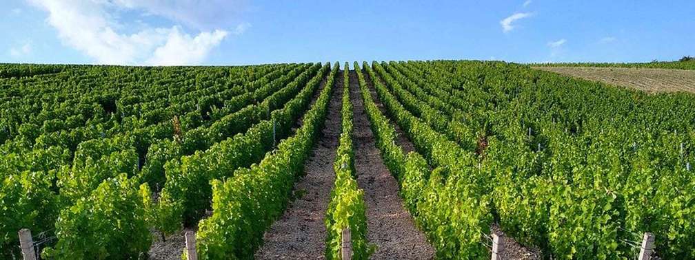 Croisière Buzet-sur-Baïse