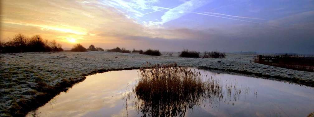 Kreuzfahrten Yerseke