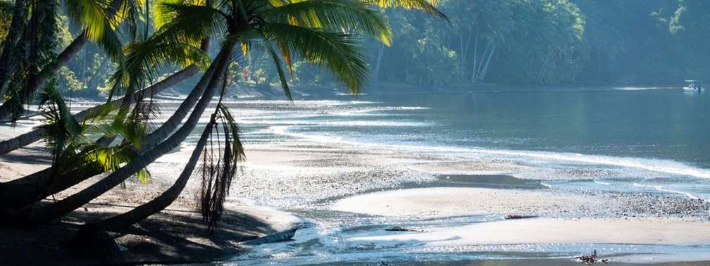 Croisière Golfito - Golfo Dulce