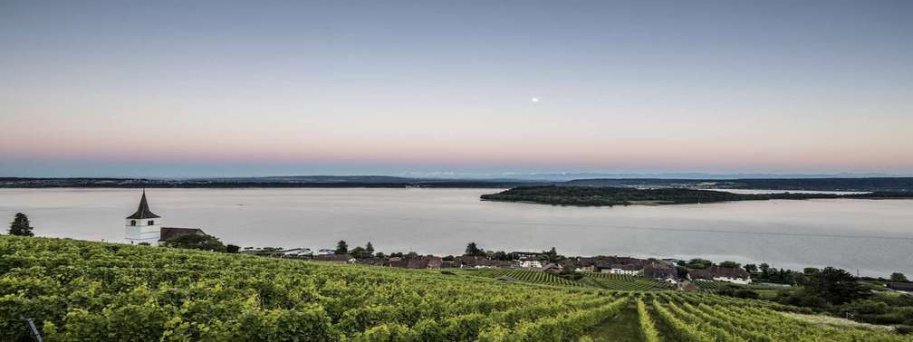 Cruise Landeron Port