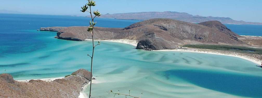 Cruise Baja California Sur