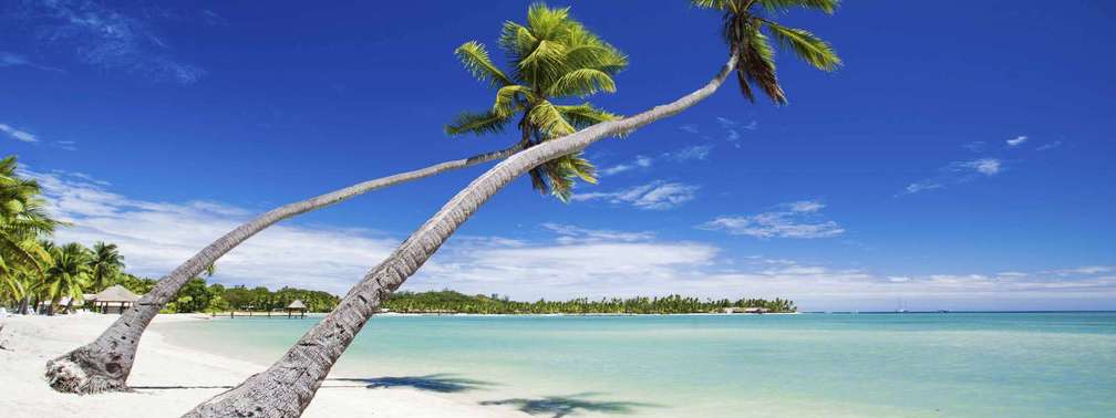 Cruise Fiji