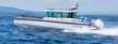 Axopar 28 Cabin