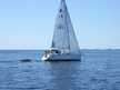 Bavaria 30 Cruiser