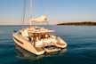 Catlante 620