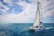 Leopard 40