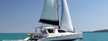 Leopard 43
