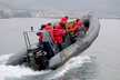 Narwhal 670