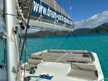 Bali Catspace Voile