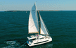 Bali Catspace Voile