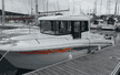 Barracuda 7