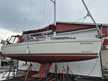 Delphia 37