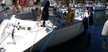 Dufour 36 Classic
