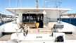 Lucia 40