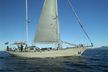 Frers 72