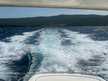 Gobbi Atlantis 47