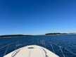 Gobbi Atlantis 47