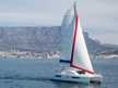 Leopard 40