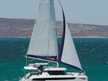Leopard 42