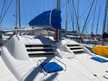 Leopard 43