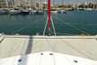 Leopard 44