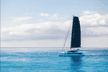Leopard 46