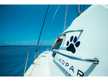 Leopard 48