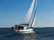 Maxus 28