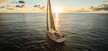 Maxus 35
