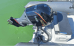 Narwhal 670
